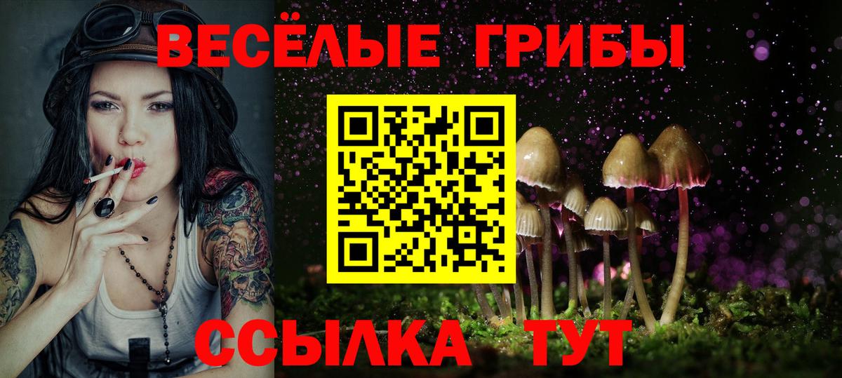 Галлюциногенные грибы MAGIC MUSHROOMS Тула